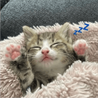 sticker image #23
