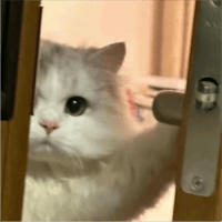 sticker image #25