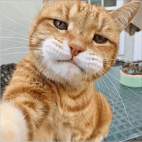 sticker image #26