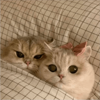 sticker image #27