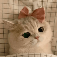 sticker image #28