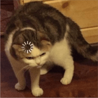 sticker image #13
