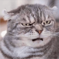 sticker image #16