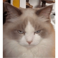 sticker image #19
