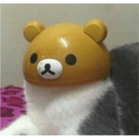 sticker image #20