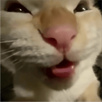 sticker image #23