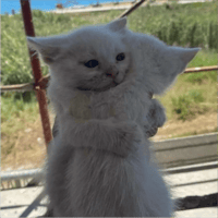 sticker image #26