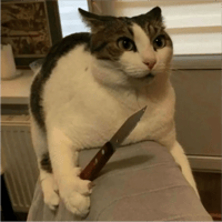 sticker image #27