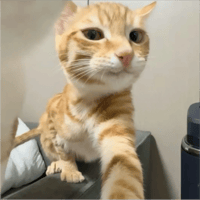 sticker image #29