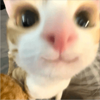 sticker image #30