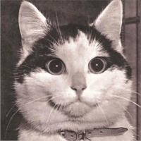 sticker image #7