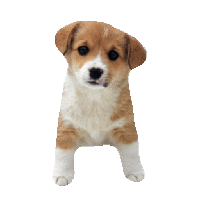 sticker image #1
