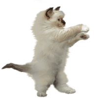 sticker image #10