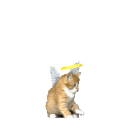 sticker image #11