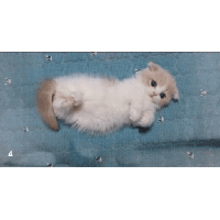 sticker image #14