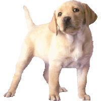 sticker image #16