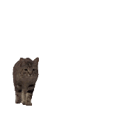 sticker image #18