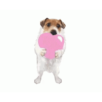 sticker image #19
