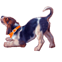 sticker image #20