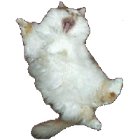 sticker image #23