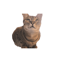 sticker image #24
