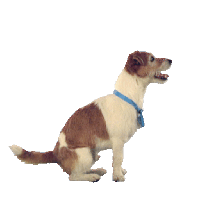 sticker image #28