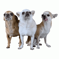 sticker image #29