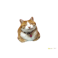 sticker image #5