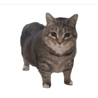 sticker image #9