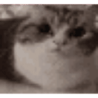 sticker image #10