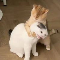 sticker image #18