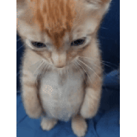 sticker image #19