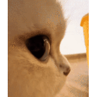sticker image #20