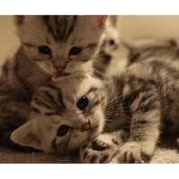sticker image #13