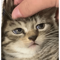sticker image #14