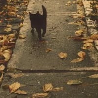 sticker image #17