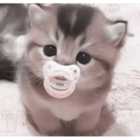 sticker image #21