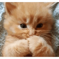 sticker image #24