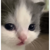 sticker image #26