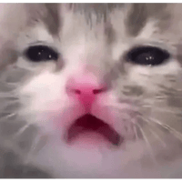 sticker image #28