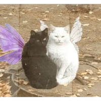 sticker image #29