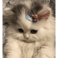 sticker image #1