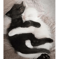 sticker image #15