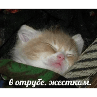 sticker image #23