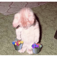 sticker image #24