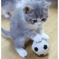 sticker image #25