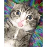sticker image #29