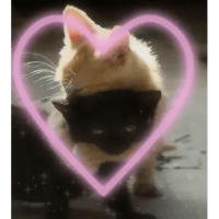 sticker image #1