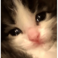 sticker image #10