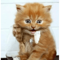 sticker image #17